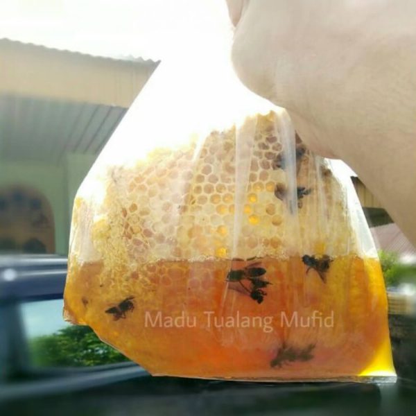 Madu Tualang Asli (Borong) - Image 2
