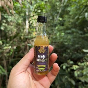 Madu Tualang Asli Mufid (70 GRAM)
